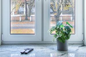 a potted plant sitting in front of a door at Luxury Renovated - 600 Mbit - 64 M2 - 65 inch TV in Rīga