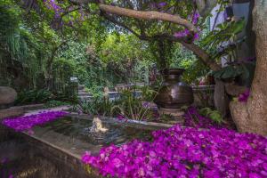 um jardim com flores roxas e uma árvore em Casa No Name Small Luxury Hotel em San Miguel de Allende