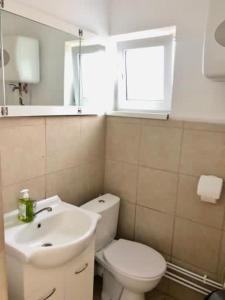 a bathroom with a white toilet and a sink at Casa Daria in Râmnicu Vâlcea