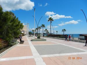 エステポナにあるApartment Parque Centralの椰子の木と海を背景にした歩道