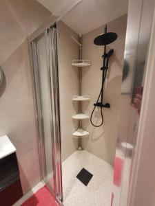 a shower in a bathroom with a glass door at Hanaborg apartment in Lorenskog