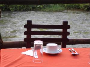 een rode tafel met een kopje en een bord op een tafel bij Extream Adventures of Sri Lanka in Kitulgala