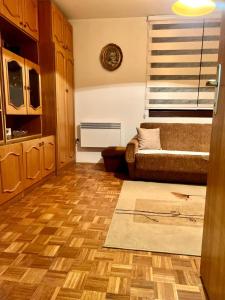 een woonkamer met een bank en houten vloeren bij Apartman Lana in Pale