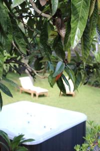 扎費拉納埃特內亞的住宿－Etna Rose，长凳和树叶及椅子