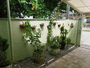 Una cerca con un montón de plantas en macetas. en Pousada Executiva SolRiso Aeroporto Florianópolis, en Florianópolis
