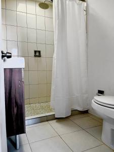 a bathroom with a shower curtain and a toilet at La casona del Centro Hist. in Querétaro