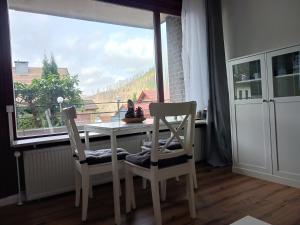 einen Tisch und zwei Stühle in einem Zimmer mit Fenster in der Unterkunft HARZ-LIEBE Lautenthal in Langelsheim