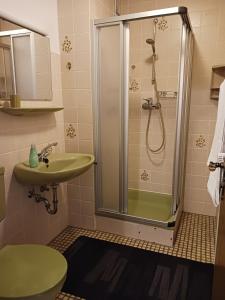 a bathroom with a shower and a sink at HARZ-LIEBE Lautenthal in Langelsheim +10 photos