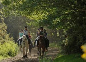 a group of people riding horses down a dirt road at Daisy Cottage, delightful 3 bedroom cottage in village location in Barrowford