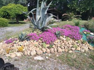 Zahrada ubytování Villa Le Phoenix