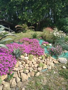 Zahrada ubytování Villa Le Phoenix
