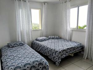 1 dormitorio con 2 camas y 2 ventanas en Villa Mimi, en Saint-Louis
