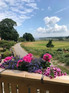 - un bouquet de fleurs assises sur un balcon dans l'établissement Apartment Berghem Grönadal Nättraby, à Nättrabyhamn