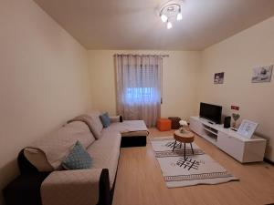 Apartment Sweet Home في بونتا ديلغادا: غرفة معيشة بها أريكة وتلفزيون