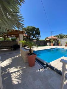 uma piscina com um vaso de plantas ao lado em lé z'orangines em Saint-Benoît