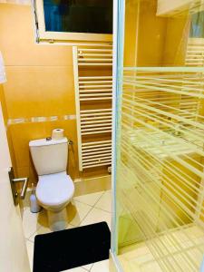 Appartement Élégant à Conflant的一间浴室