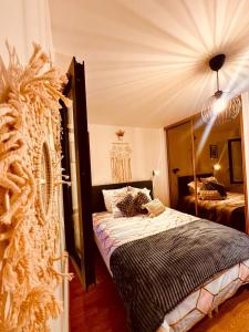 1 dormitorio con cama y espejo en Appartement Élégant à Conflant en Conflans-Sainte-Honorine