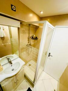 y baño con lavabo y ducha. en Appartement Élégant à Conflant en Conflans-Sainte-Honorine