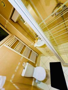 baño con aseo blanco en una habitación en Appartement Élégant à Conflant en Conflans-Sainte-Honorine