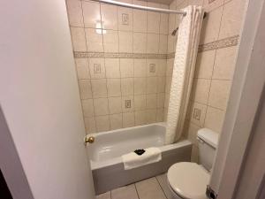 een badkamer met een toilet, een bad en een wastafel bij White River Motel in White River
