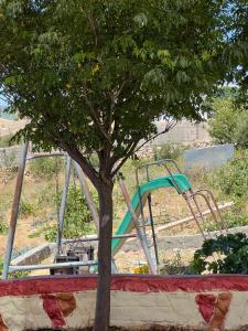 a playground with a tree and a swing at Northern View in Kafr Khall