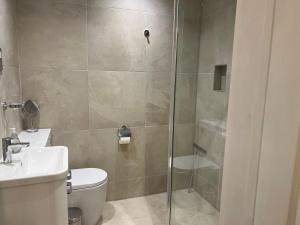 凯西克Keswick Ground floor apartment with parking的带淋浴、马桶和水槽的浴室 更多12张照片