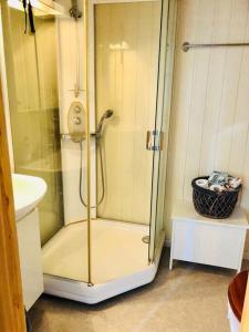 a shower with a glass door in a bathroom at Solrikt og sentralt. Ta med både to og firbeinte in Lillehammer