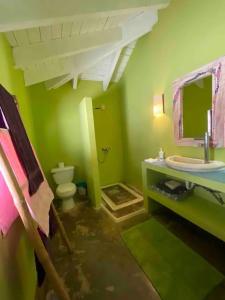 een groene badkamer met een wastafel en een toilet bij Villa Los Gorgones Sea View in Las Galeras