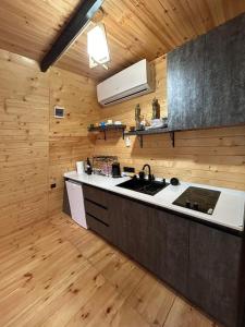 Кухня або міні-кухня у LIZ' S DREAM Cottages