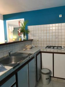 una cucina con un lavello e un piano di lavoro di Appartement style Caribeen a Sainte-Luce