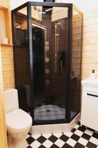 uma casa de banho com chuveiro, WC e piso em xadrez em Domek letniskowy Letniczówka em Warchały