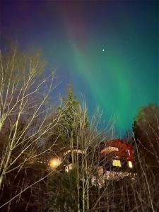 a view of a building at night with trees at The best view in Oslo in Oslo