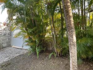 Giardino di Appartement style Caribeen