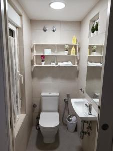 La petite salle de bains est pourvue de toilettes et d'un lavabo. dans l'établissement excelente ubicado y amueblado, à León