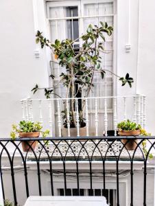 a table with potted plants on a balcony at ALOJAMIENTO LANZA en el CORAZÓN DE SEVILLA in Seville