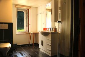 uma casa de banho com um lavatório e um WC em Au Cheval Blanc em Asuel