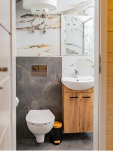 a bathroom with a toilet and a sink at Aura Zawady in Popów