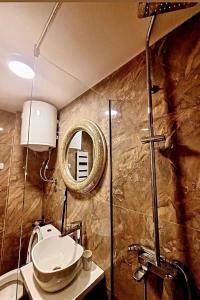 La salle de bains est pourvue de toilettes et d'un miroir. dans l'établissement Vip apartman Zlatiborski konak, à Zlatibor