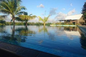 una piscina con palmeras y una casa en Cozy 2-bedroom villa on river mouth en Terre Rouge