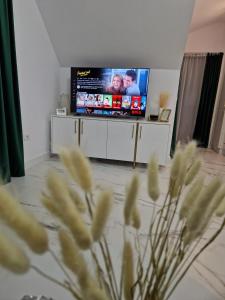 un soggiorno con TV a schermo piatto di Gold Tag Apartament a Timişoara