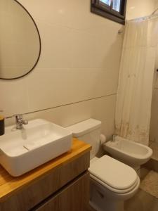 een badkamer met een wastafel, een toilet en een spiegel bij Calma del Bosque in Mar del Plata