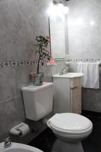 a bathroom with a toilet and a sink with a plant on it at Hospedaje BAHUINIAS II in Federación