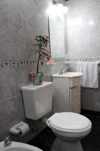 ein Bad mit WC und Waschbecken mit Pflanze in der Unterkunft Hospedaje BAHUINIAS II in Federación