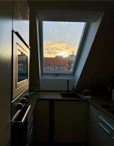 Кухня или мини-кухня в Apartmány Mikulovské zahrady
