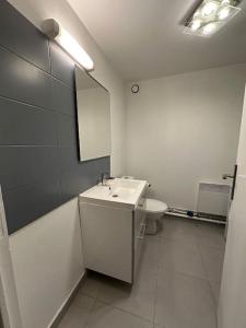 a bathroom with a sink and a toilet at Le 58 - Loft Robespierre in Reims