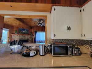 a kitchen with a counter top with a microwave at Rustic Yosemite Cottage-King Suite-Mountain Views in Oakhurst