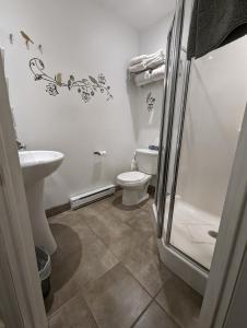 ein Bad mit einem WC, einem Waschbecken und einer Dusche in der Unterkunft Gingerbread Manor in Montreal