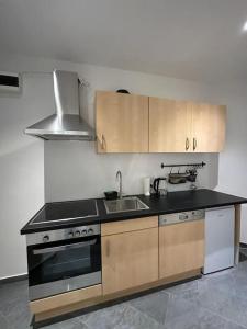 una cucina con lavandino e piano cottura forno superiore di One-Room Danube Apartment a Vienna