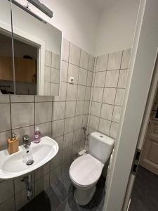 bagno con servizi igienici e lavandino di One-Room Danube Apartment a Vienna