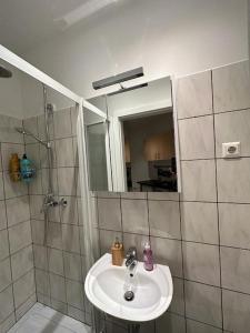 bagno con lavandino e doccia di One-Room Danube Apartment a Vienna